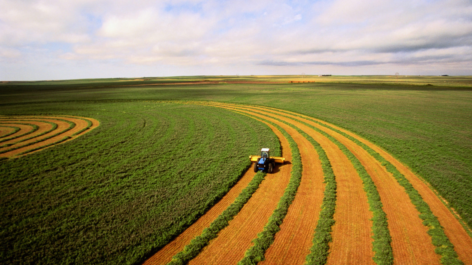 Harvesting alfalfa crop, aerial view Canadian Energy Centre