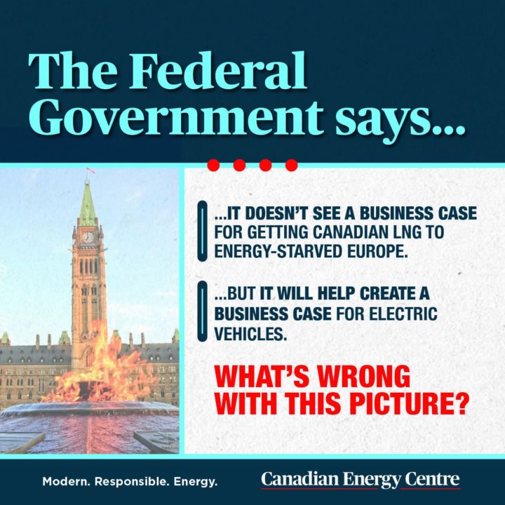 GRAPHIC: Federal government sees no business case for LNG