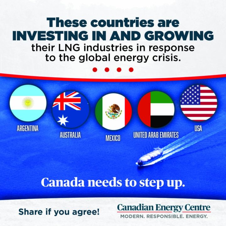 GRAPHIC: The world invests in LNG