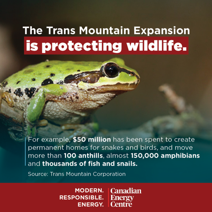 GRAPHIC: TMX wildlife protection