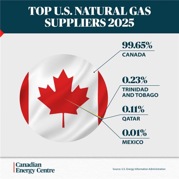 GRAPHIC: Top U.S. natural gas suppliers 2025
